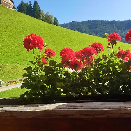 Haus Theresia 494 Alpbach